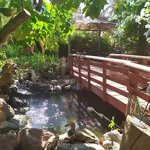 lotus-turtle-garden-eilat.eilathotels.net/